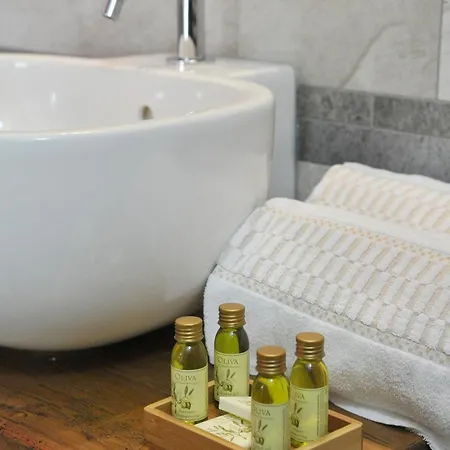 Mollino 3* 브루일서비니아