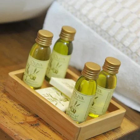 Mollino B&B 브루일서비니아