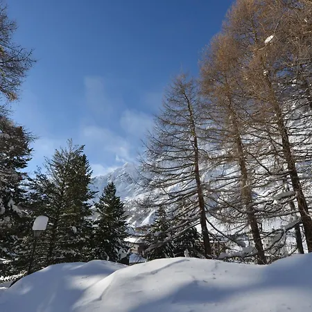 Mollino Готель типу 