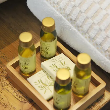 Mollino Bed and Breakfast