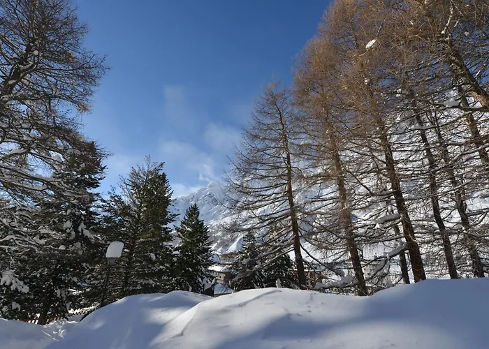 Mollino Готель типу 